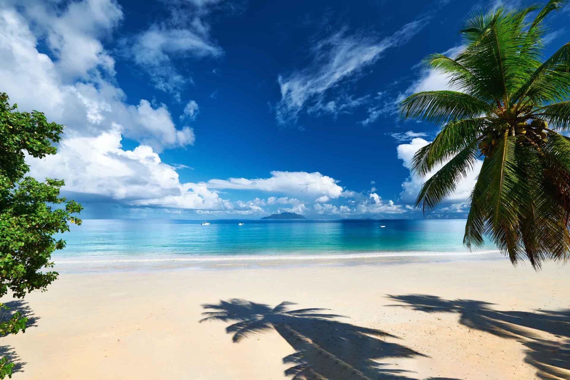 Welcome to Ocean Mortgage Company